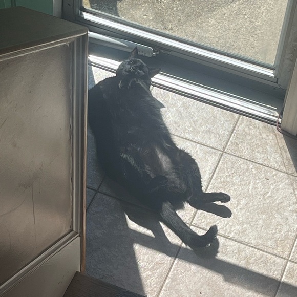 Meet your Posher, Michaela ft. Manny - Picture 4 of 11